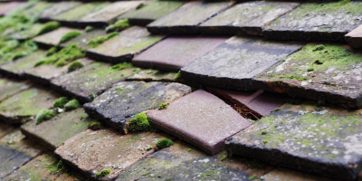 Caerleon roof repair costs